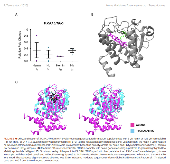 Microbial Cell tweet media