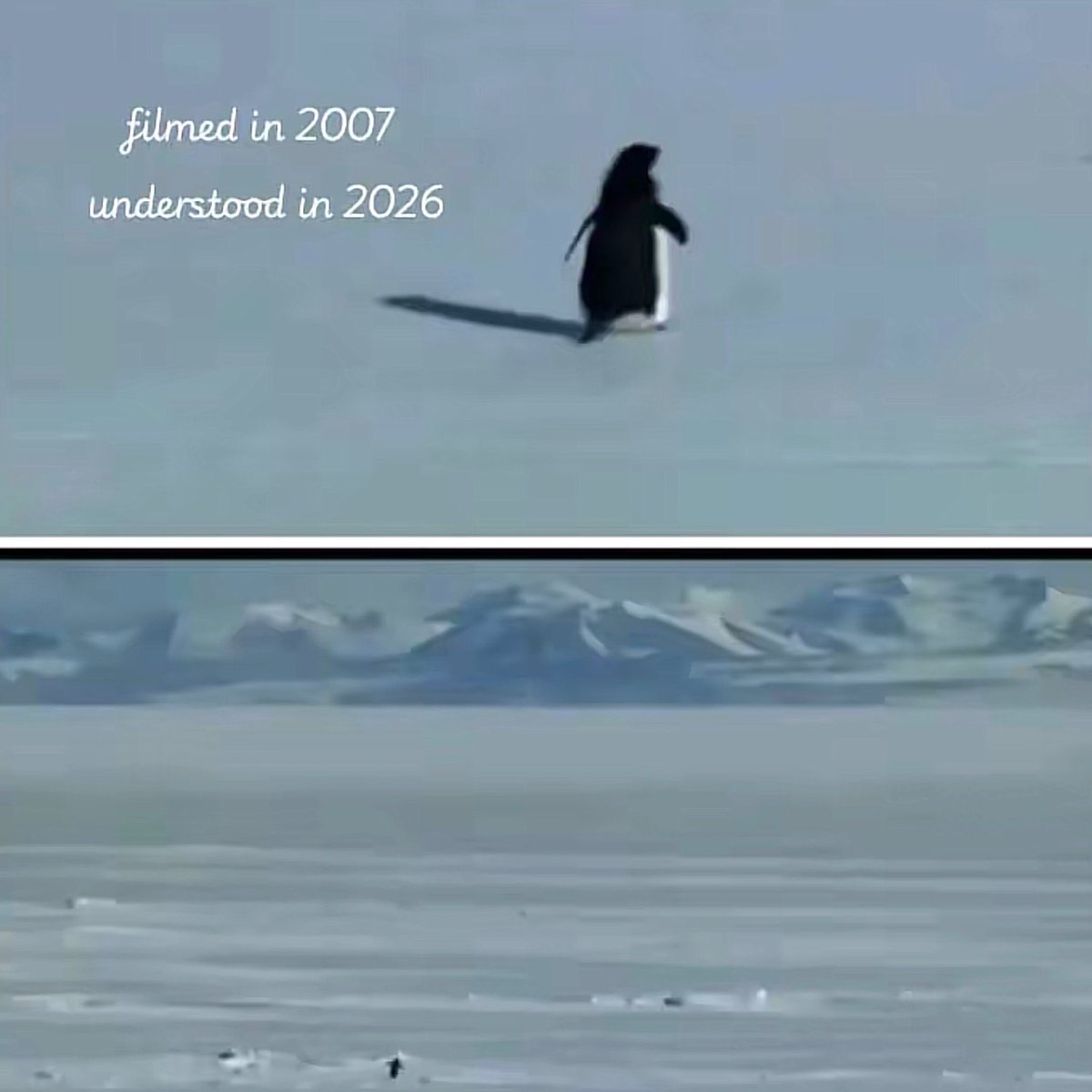 People don’t always immediately understand.