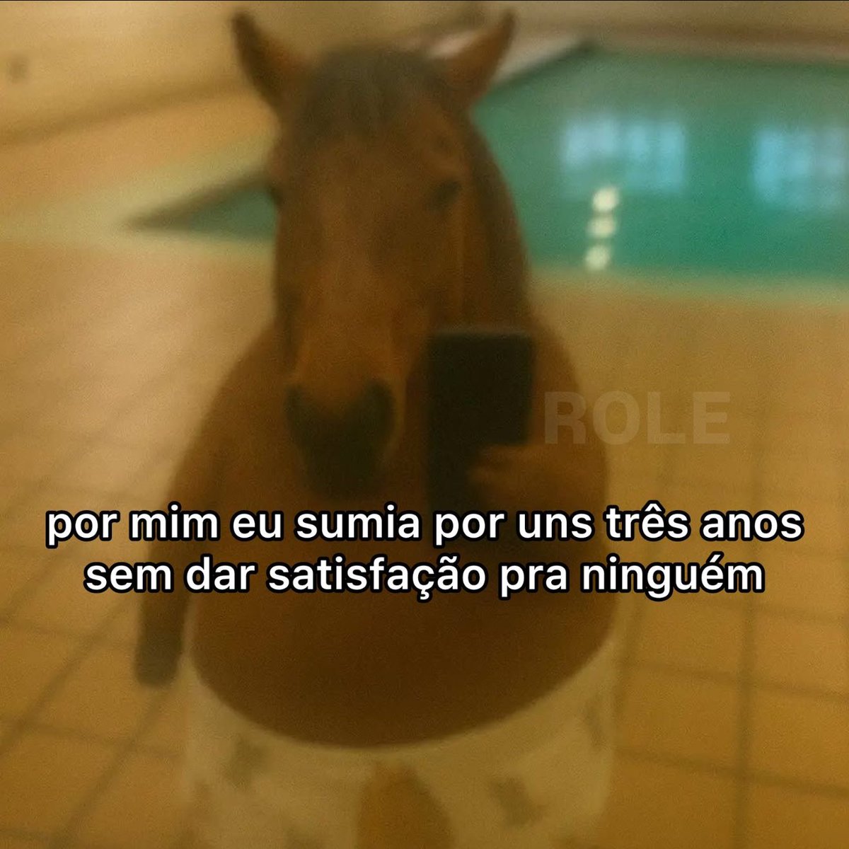 Rolê Aleatório tweet media