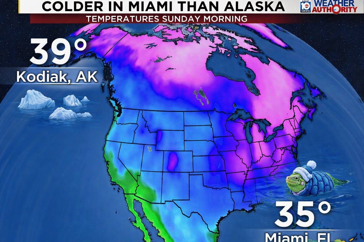 Brandon Orr tweet media