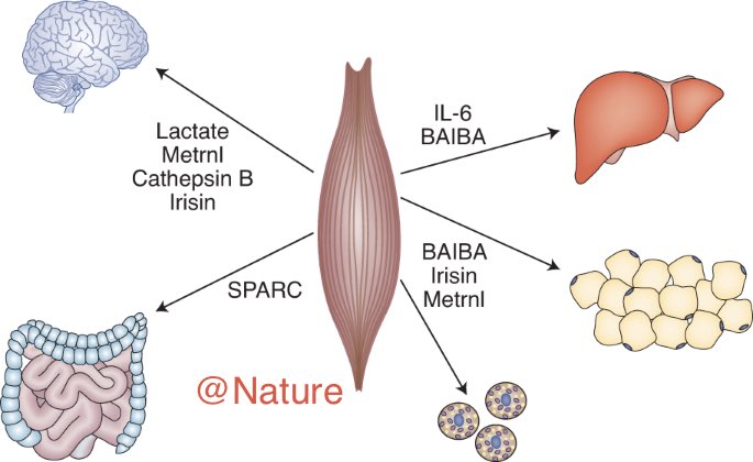 La Jefita tweet media