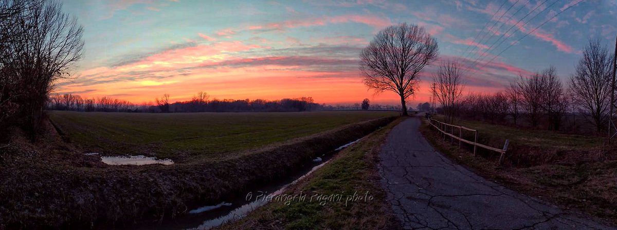 @ferrarisergio4 tweet media