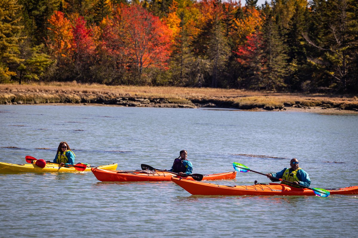 Outdoor Afro tweet media