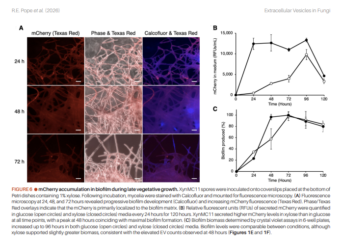 Microbial Cell tweet media