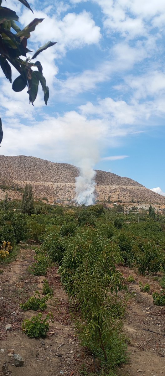 Maxigalileo's tweet photo. Incendio en Cerrillos de Rapel, Monte Patria, @CLAVE_33 @alegriagonzaa https://t.co/DmEXJIMwgR