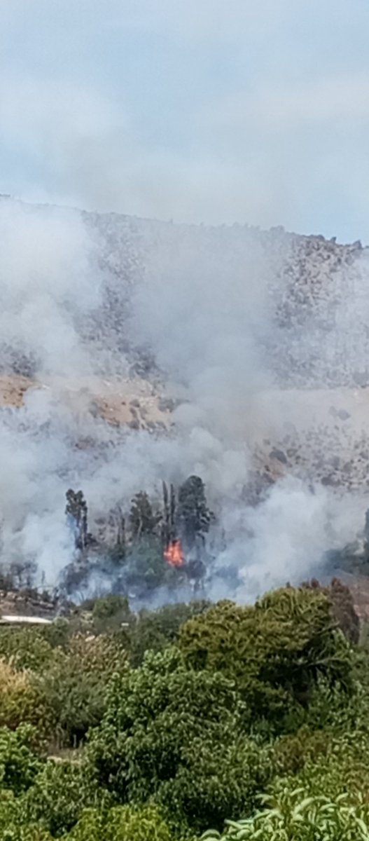 Incendio en Cerrillos de Rapel, Monte Patria, <a href="/CLAVE_33/">CLAVE 33</a> <a href="/alegriagonzaa/">Alejandro Alegria 🌴</a>