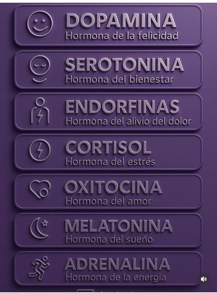 Las Hormonas que importan y que debes tener en cuenta.... 😌🤔

¿Cómo estas con todo esta lista?