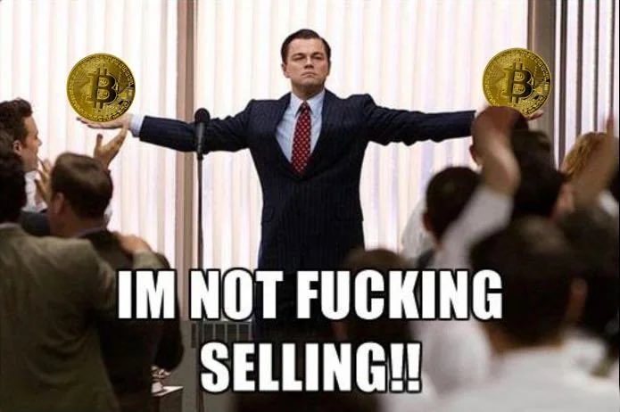 danheld's tweet photo. Are you still hodling? ✋ https://t.co/jdRk6QbEwA