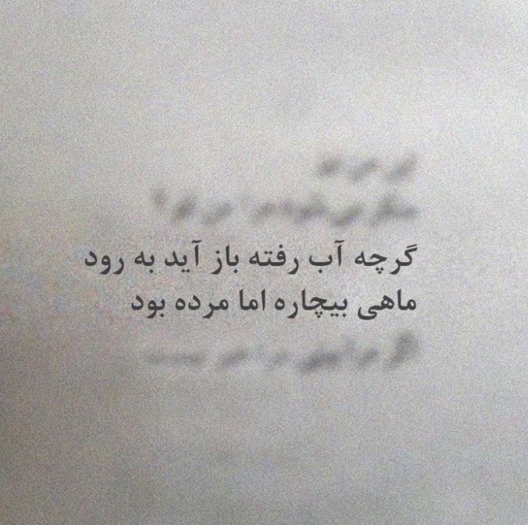 هانیه tweet media