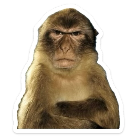 ben abartıyor olabilirmişim ya 
of
işe devam