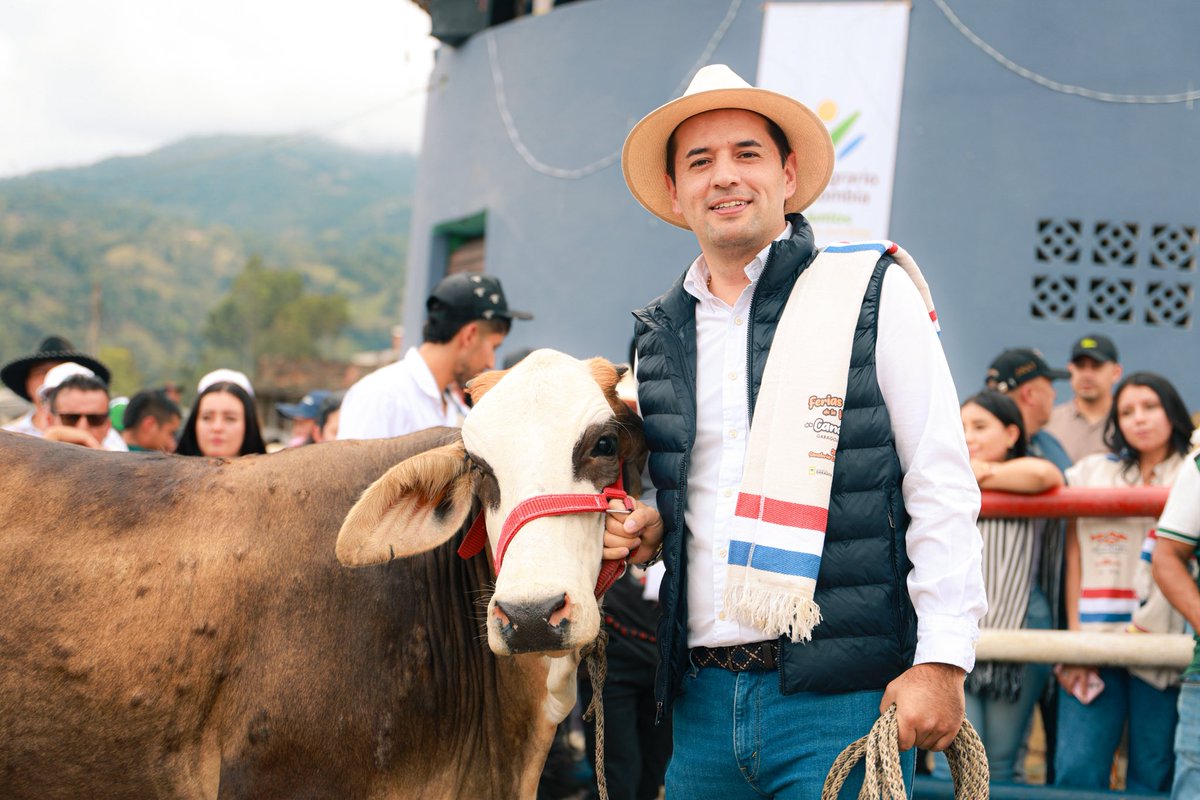 Wilmer Castellanos tweet media