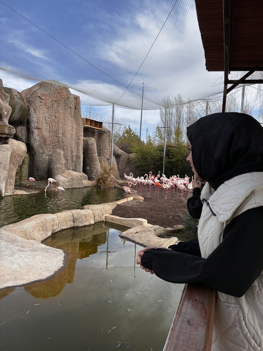 Flamingoların allı turna olduğunu öğrendiğinizde kaç yaşındaydınız ben 22-23 falan