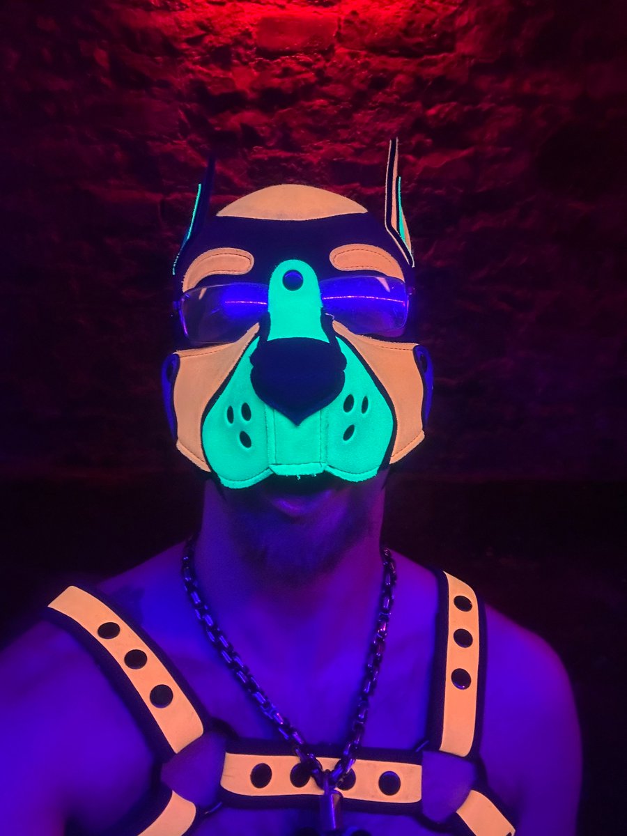 Pup Paimon tweet media