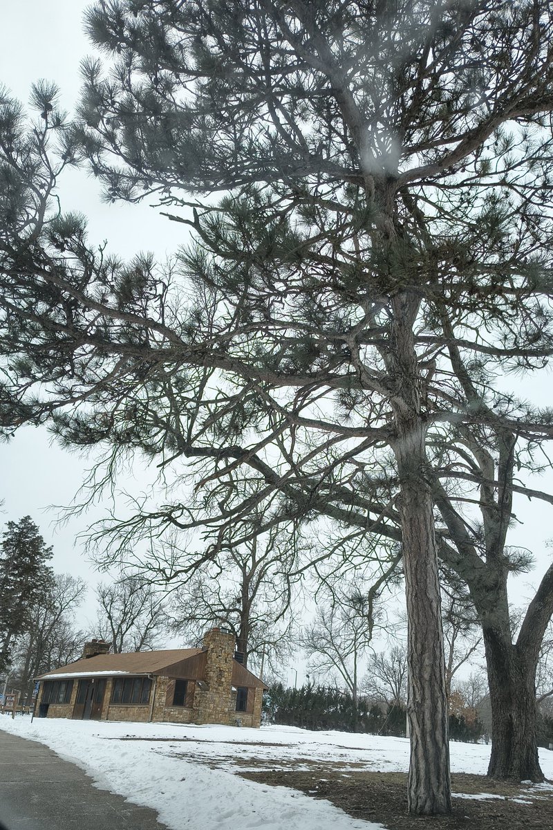 GrumpyBear1983's tweet photo. #winterweather https://t.co/7PbCCJB3aE