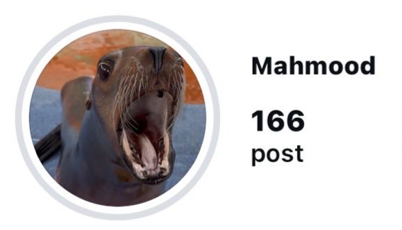 “chissà quale foto avrà scelto?🤔”