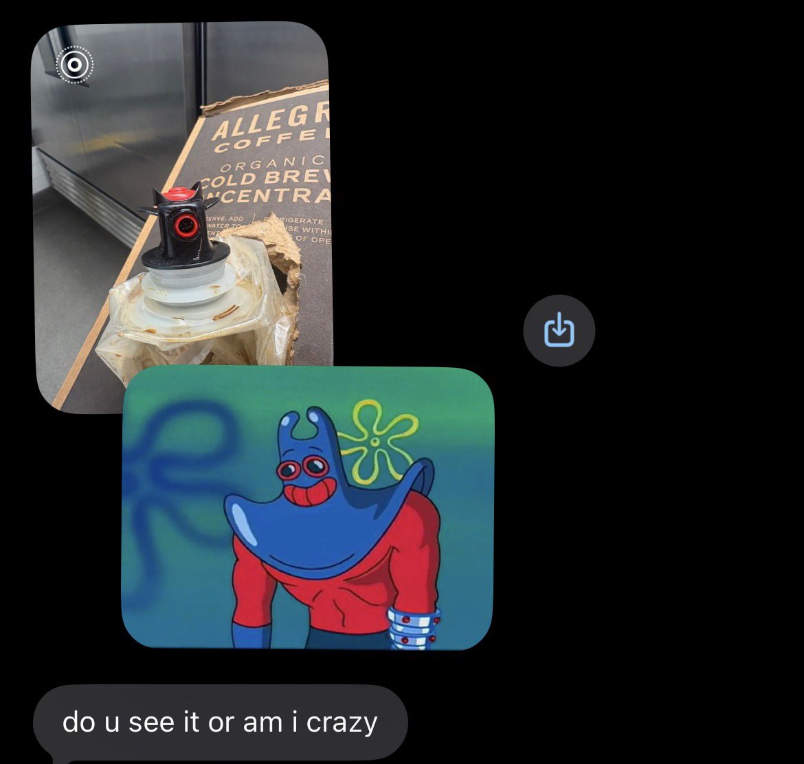 SpongeBob Daily tweet media