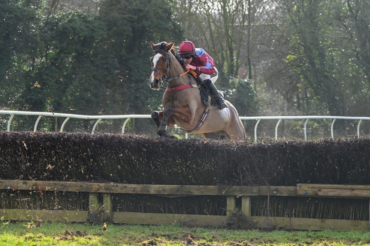 Diamond Appeal 2nd and Douglas Longbottom 3rd at Charing, trained by <a href="/BCoward93/">B Coward</a> and ridden by <a href="/flymcintyre/">Martin Mc Intyre</a>