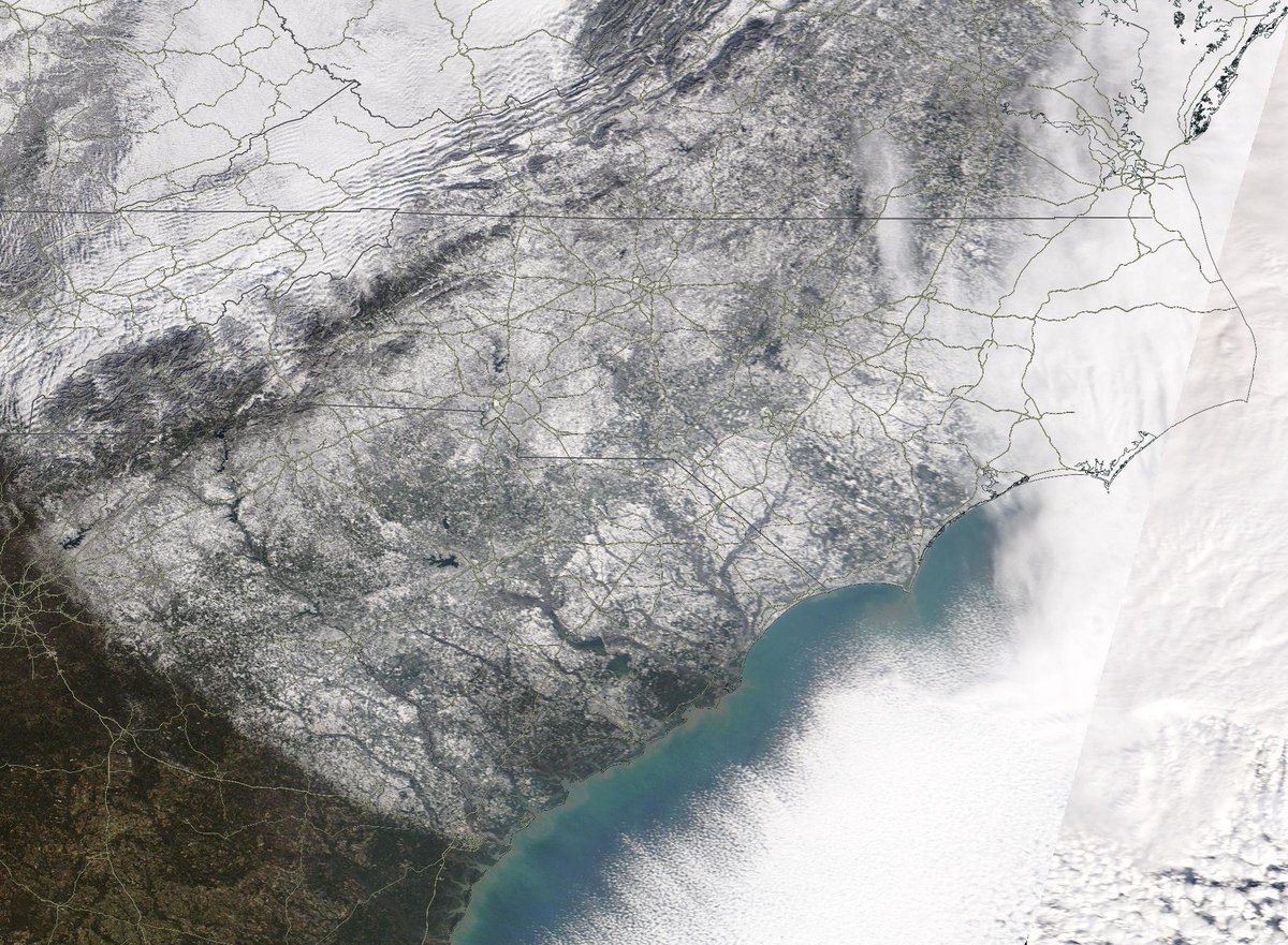 Tim Buckley tweet media