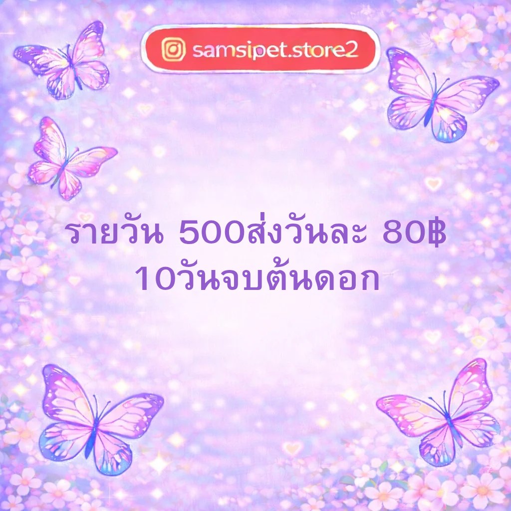 กู้เงิน ปล่อยกู้ รายวันรายเดือน🪷 tweet media