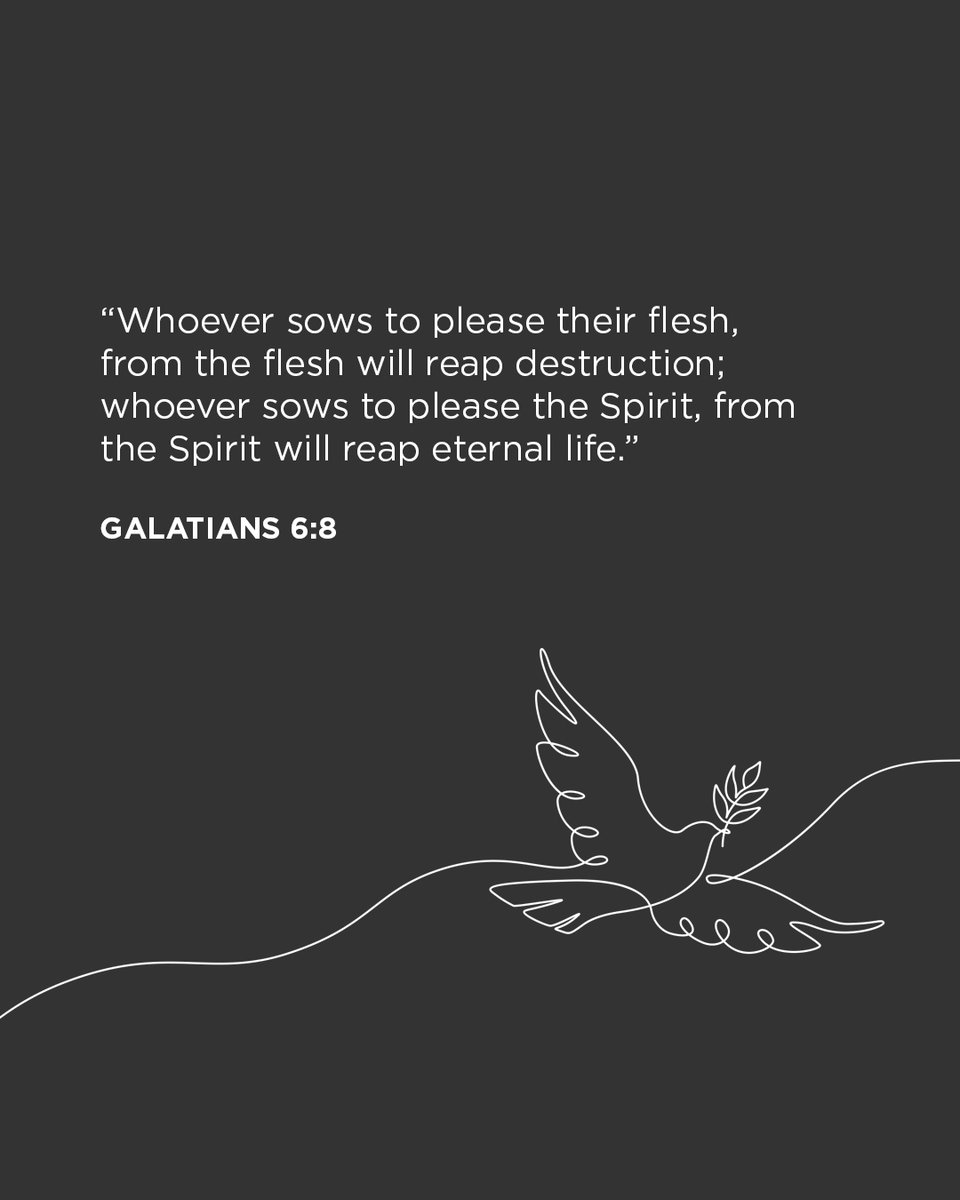 World Relief tweet media