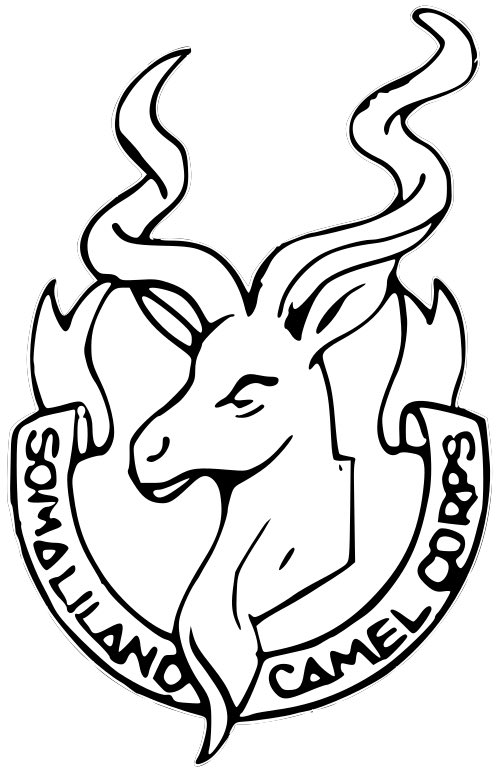 Hambalyo Sanadguurada boqol iyo laba iyo Tobnaad ee Ciidanka Qaranka Jamhuuriyada Somaliland.

1994 waa dib u asaasid, laakiin ma ahaa asaaskii (32 sanno ma jiro ciidankeenu) markaa taariikhda inoo Saxa.

Ciidankana u duceeya, oo aan daryeelno, dhismaha hayadaha Amaanka ayaa ay