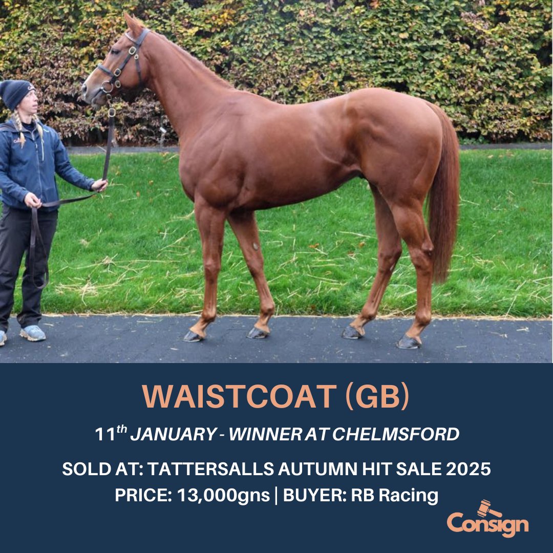 Consignltd's tweet photo. January #ConsignGrad winners 👇

ARC ZOOSVE – Second win since selling at the @goffs__uk Summer Sale last year 💥

WAISTCOAT – Chelmsford winner for Ross Burdon 🏆

MONTE LINAS – Scoring in France for Amy Murphy &amp; team 🇫🇷 (Tattersalls Autumn HIT Sale grad, 2024) https://t.co/dnwumckraS