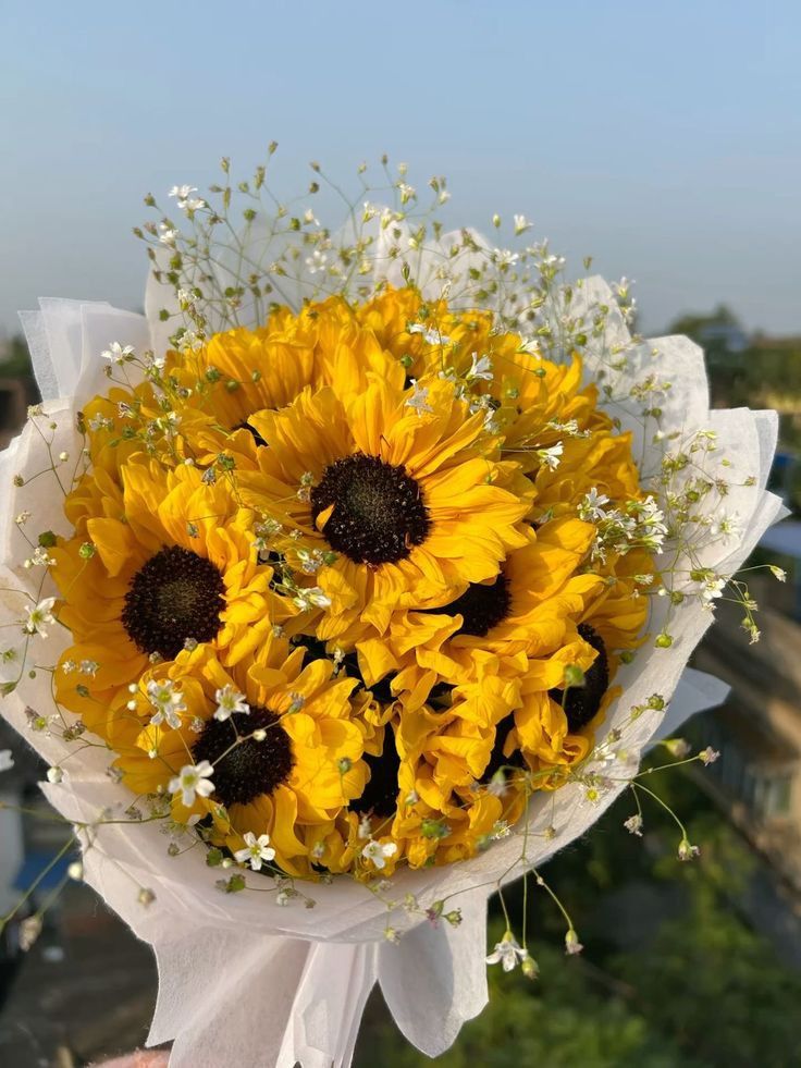 The Dream Vault (@thedream_vault) on Twitter photo 