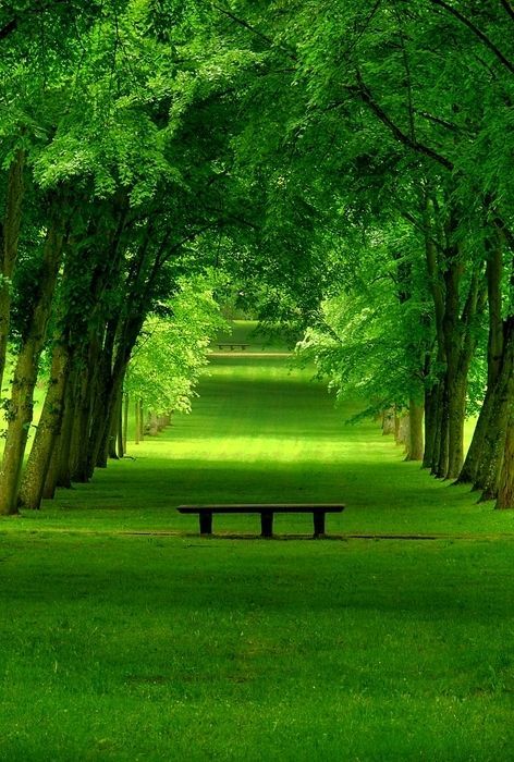 SALLYKENNY001's tweet photo. Nature really said “slow down and breathe.”
20 minutes in green spaces can boost your mood and lower stress.
This isn’t just a path it’s therapy.
Happy Sunday.
#HappySunday #NatureVibes #GreenTherapy #MindfulMoments https://t.co/zSuvlBy7g0