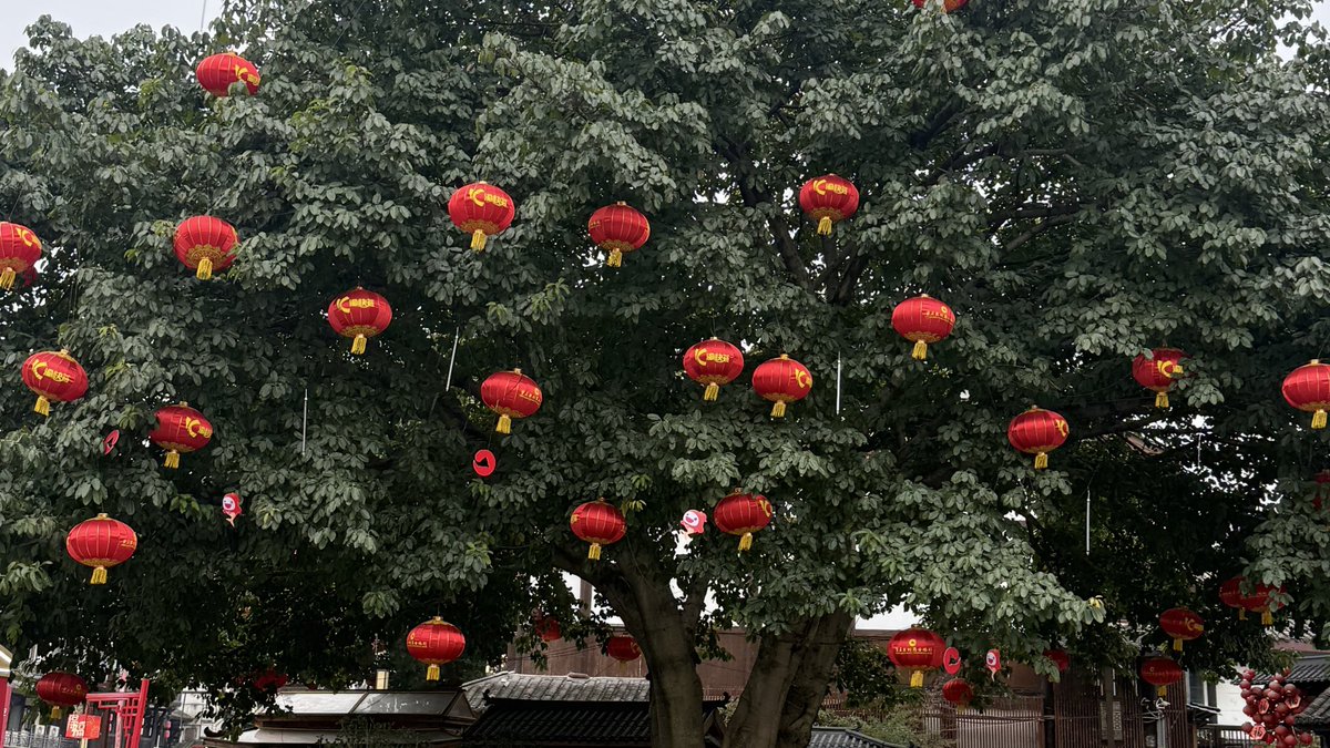 hdevo1i's tweet photo. 🏮 https://t.co/gUEYKfFTrE