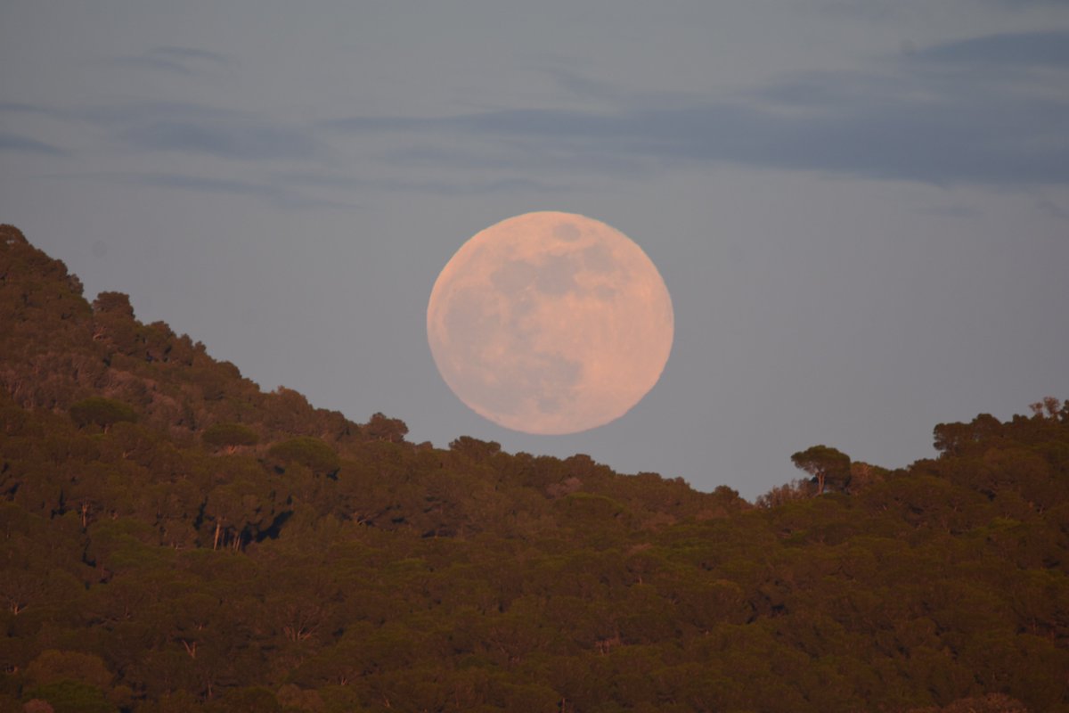 marc_heras's tweet photo. La lluna plena sortint entre el Montcal (a l'esquerra) i el vessant nord del puig de Cantallops (a la dreta).
Vist des de Palafrugell. https://t.co/c1xFcUtvz7