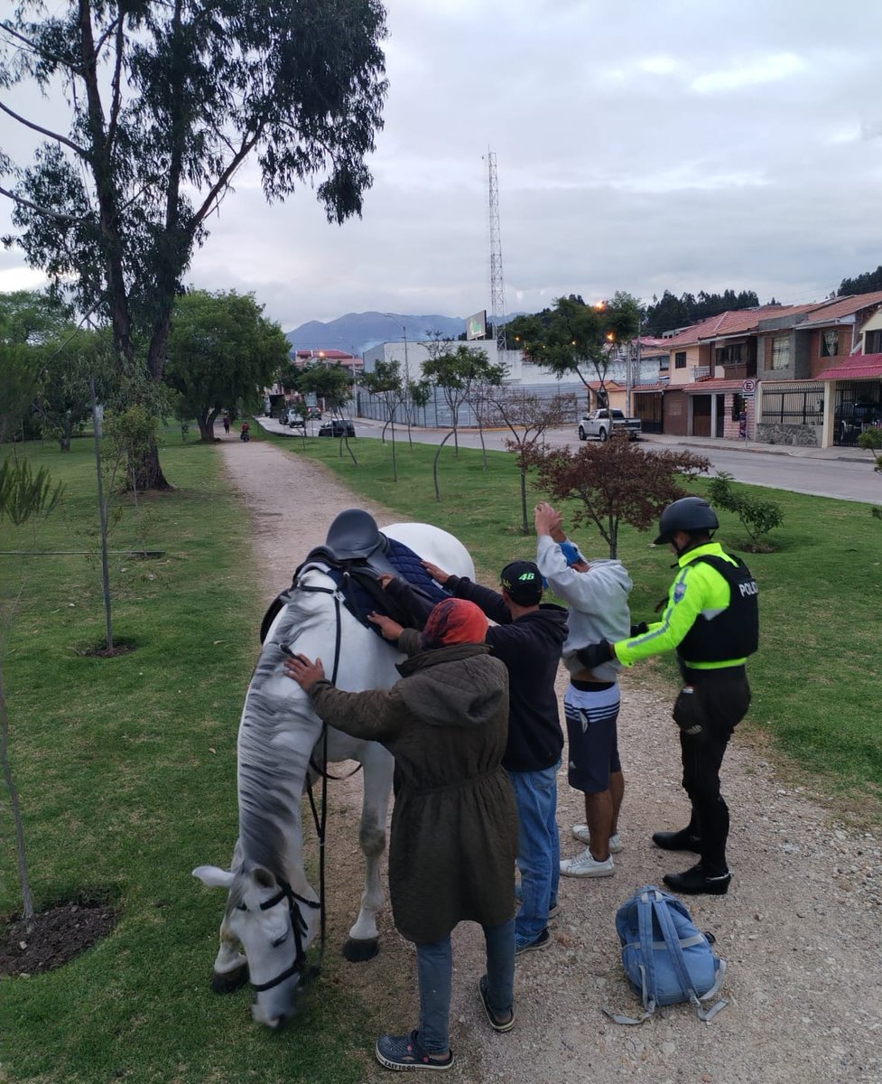 xbermudezlec's tweet photo. Durante este fin de semana, la @PoliciaEcuador ejecutó patrullajes preventivos permanentes en la ciudadela Kennedy, con el apoyo de la Policía Montada, como parte de las acciones estratégicas para brindar seguridad, prevenir delitos y garantizar la tranquilidad de la ciudadanía.
El compromiso es claro: presencia activa en territorio para proteger a la comunidad.
