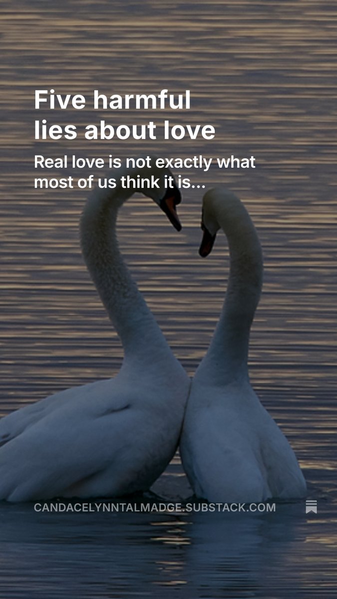 StoneScribe's tweet photo. Valentine's Day is this month. I dusted off an old column on the harmful lies we tell ourselves about love: https://t.co/3foYAtpNTh https://t.co/UpDVZ0dQks