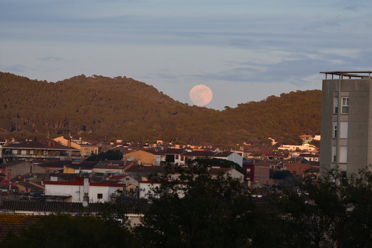 marc_heras's tweet photo. La lluna plena sortint entre el Montcal (a l'esquerra) i el vessant nord del puig de Cantallops (a la dreta).
Vist des de Palafrugell. https://t.co/c1xFcUtvz7
