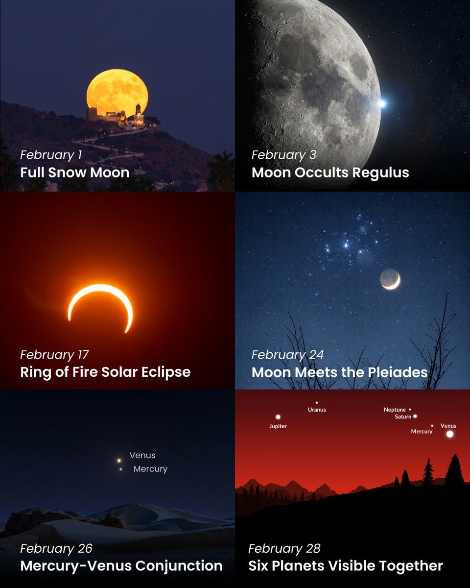 forallcurious's tweet image. BREAKING🚨: Night sky in the month of February will be an absolute delight to look up to!

MARK YOUR CALENDERS and DON'T FORGET TO LOOK UP!