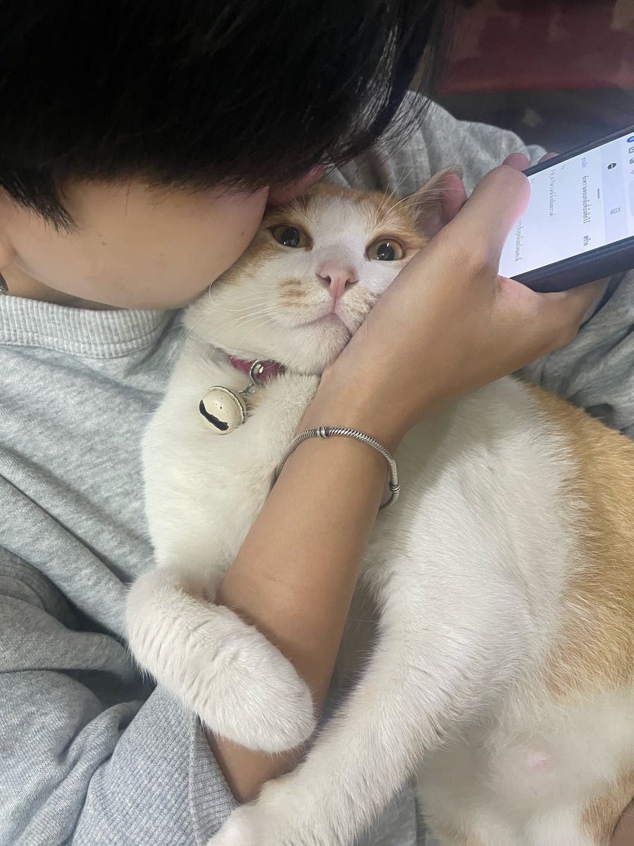 ไปอยู่ด้วยกันเลยไป