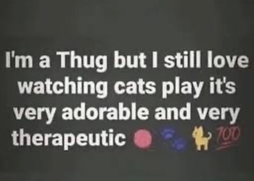 blis5ful's tweet image. 