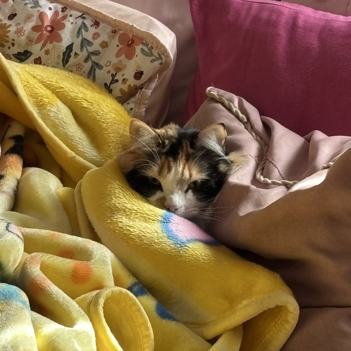 lina (@baamline) on Twitter photo 