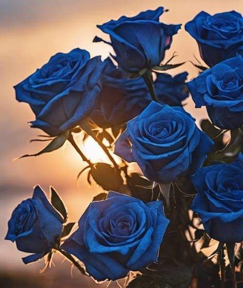 (غياب)سامحوني✨ 𝓐𝓵𝔃𝓪𝓲𝓷 ❥⇣ tweet media