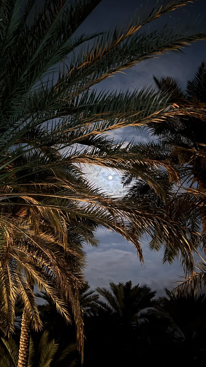 utt7s's tweet image. 😭