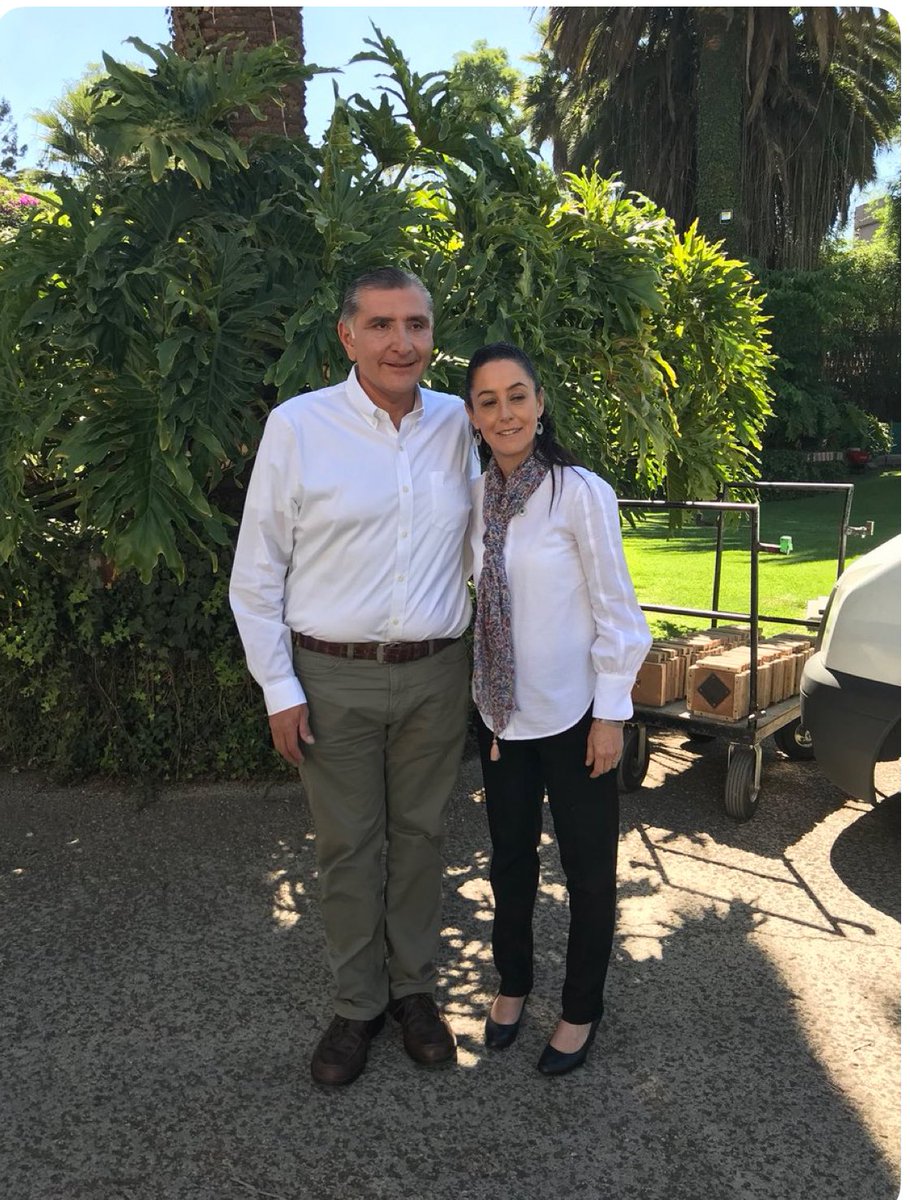 Denise Dresser tweet media