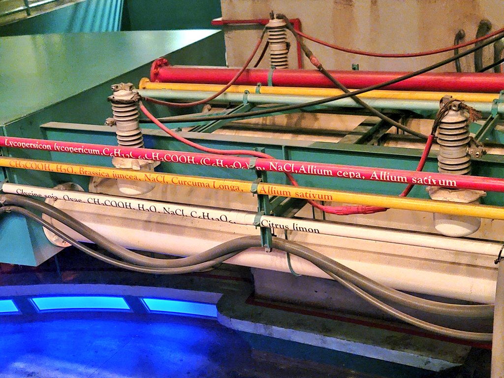 Ava Buric tweet media