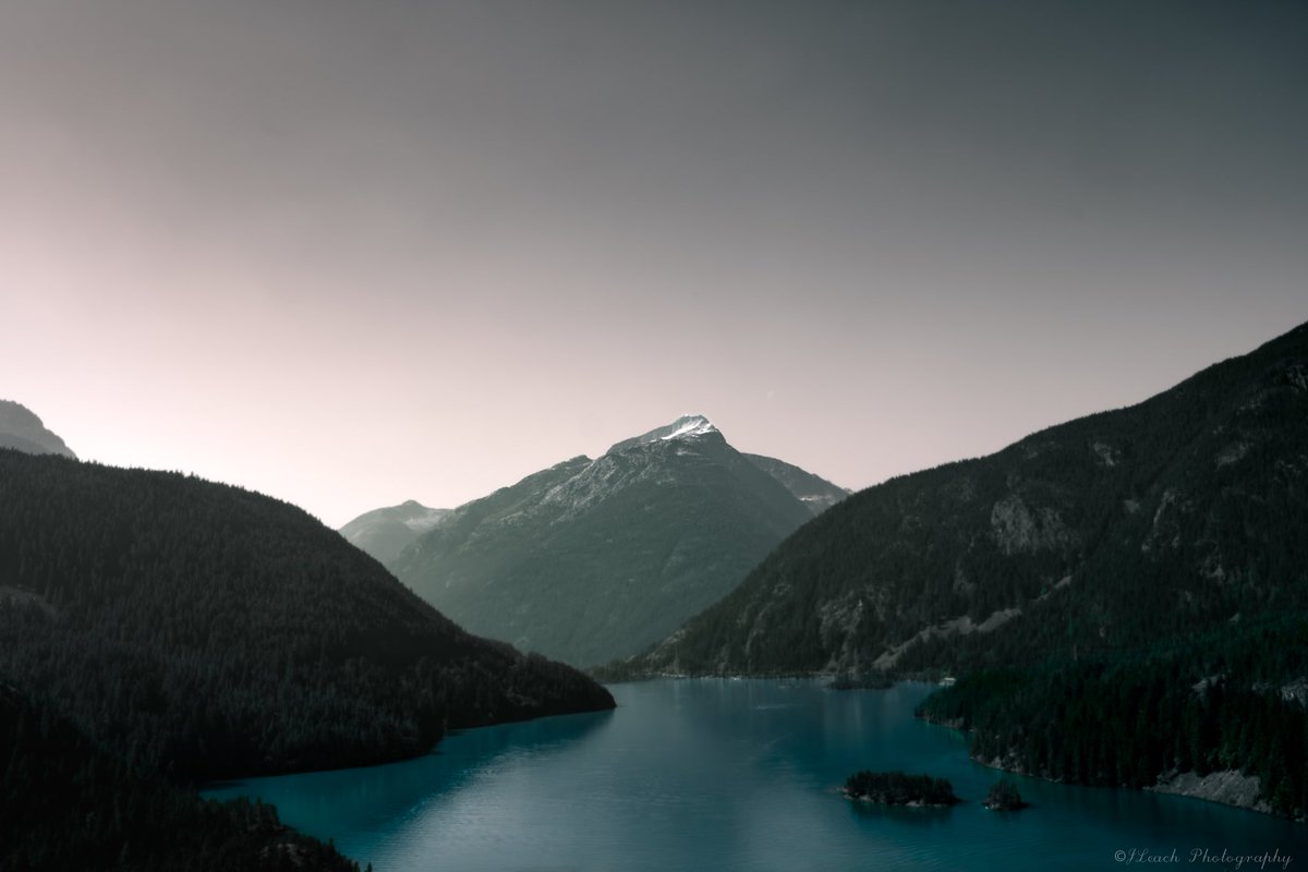 Josh Leach tweet media