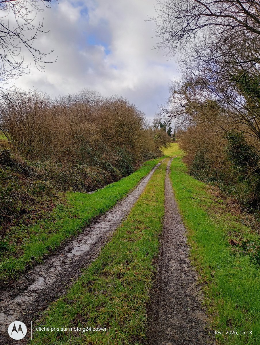ThiChaplain's tweet photo. Alors avant c'était une #RouteRurale, la #commune a demandé à ce qu'elle soit #déclassée mais sur #CartesIGN c'est toujours une #RR alors que c'est maintenant un #cheminagricole donc #interdit à la #circulation #automobile. https://t.co/y9bZIlFQYh