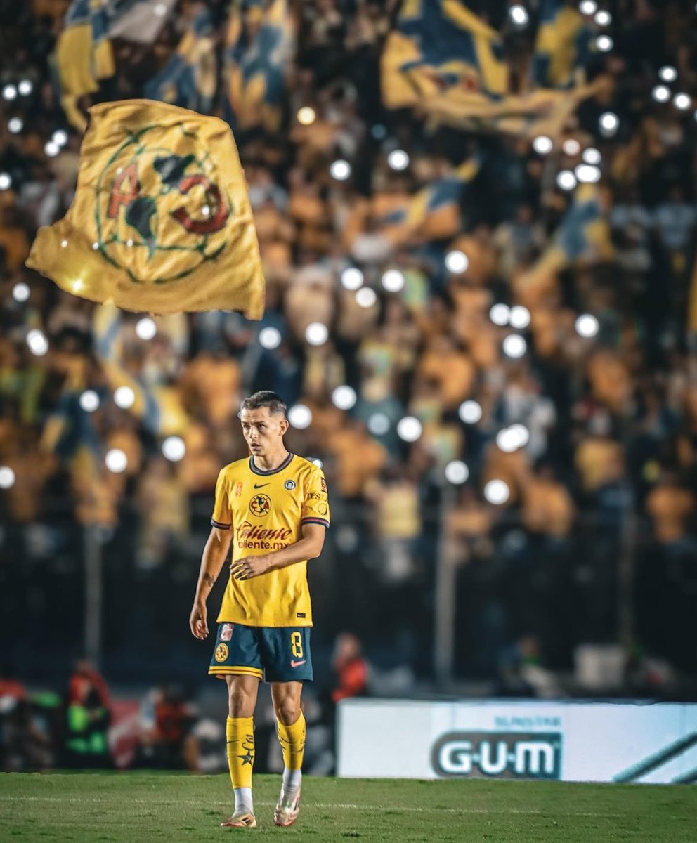 Marcelo Ibarra tweet media