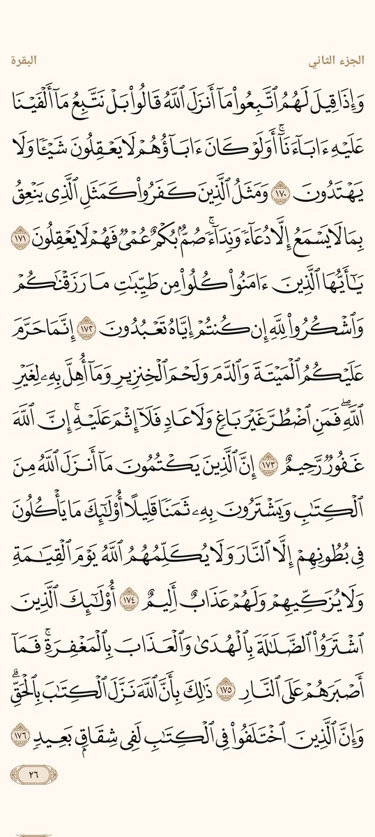 ْمحمد علام tweet media