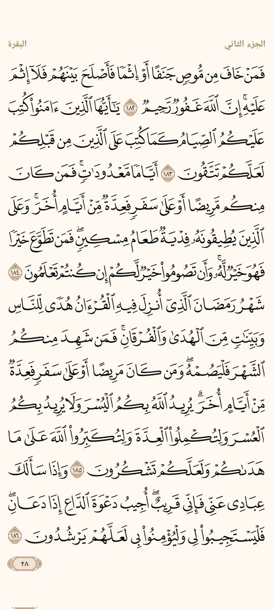 ْمحمد علام tweet media