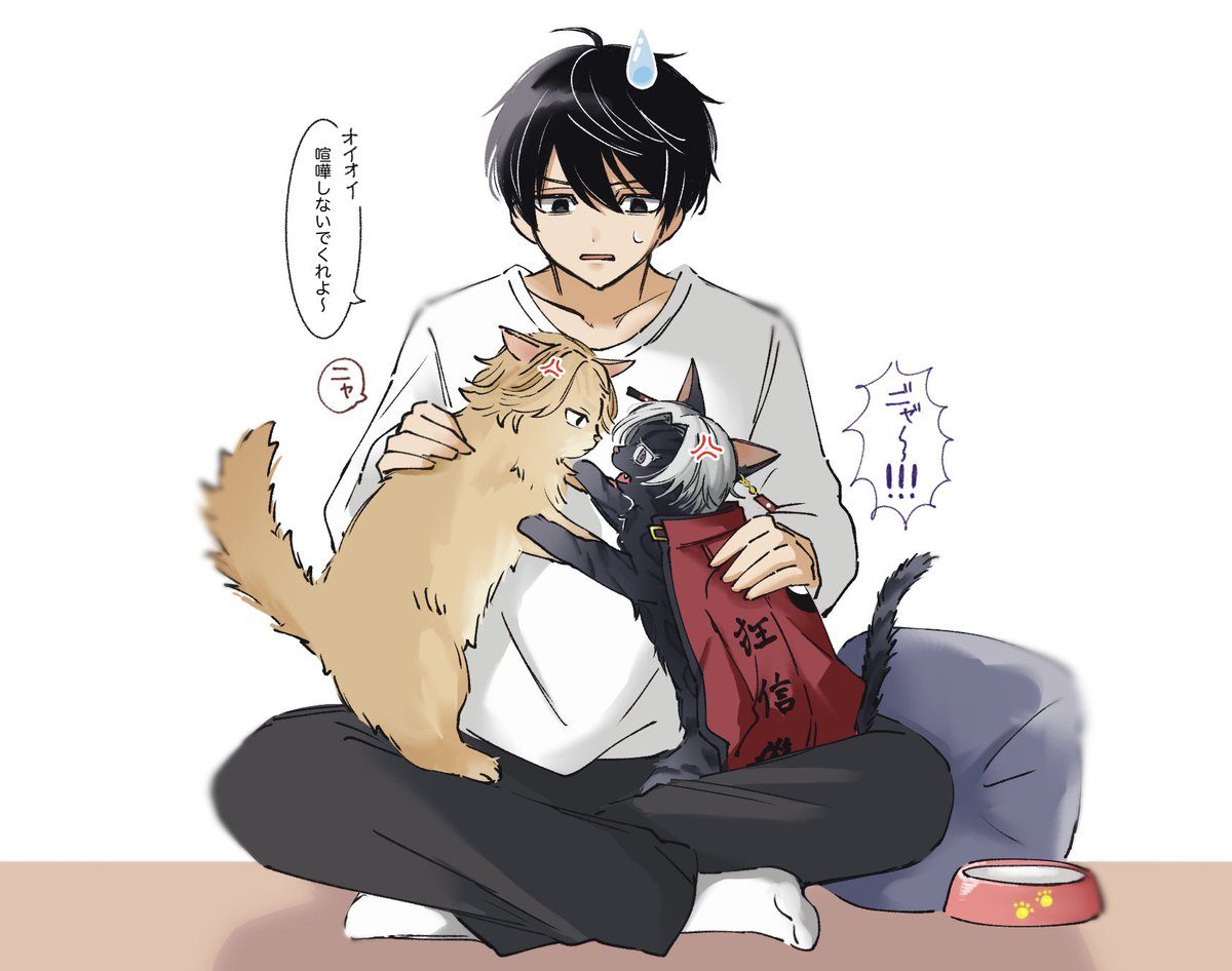 なすにゃ (@137nasu) / Posts / X