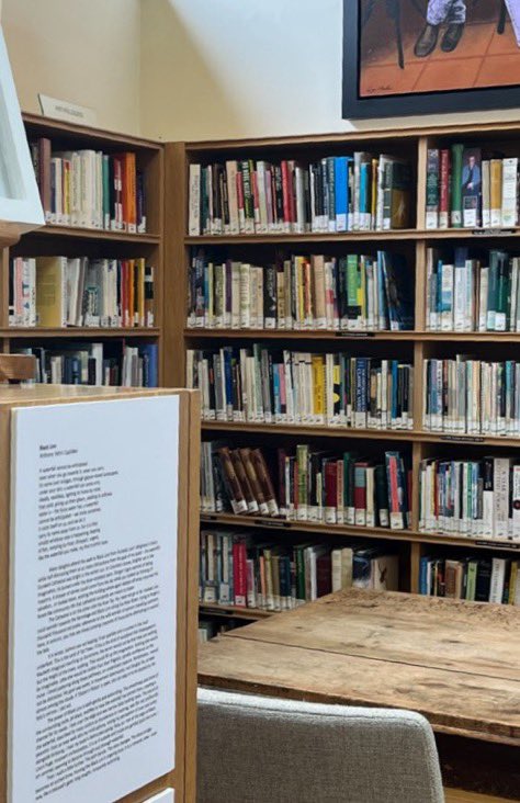 raya ❦ tweet media