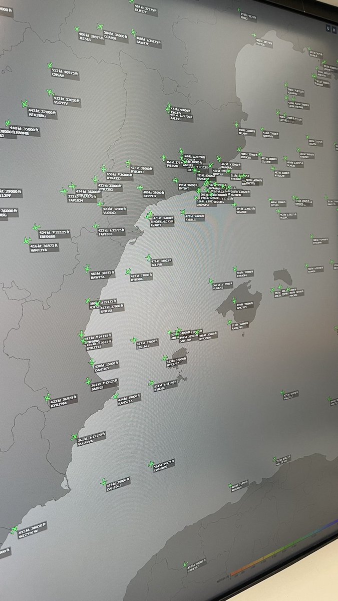 Alejandro De Prado tweet media