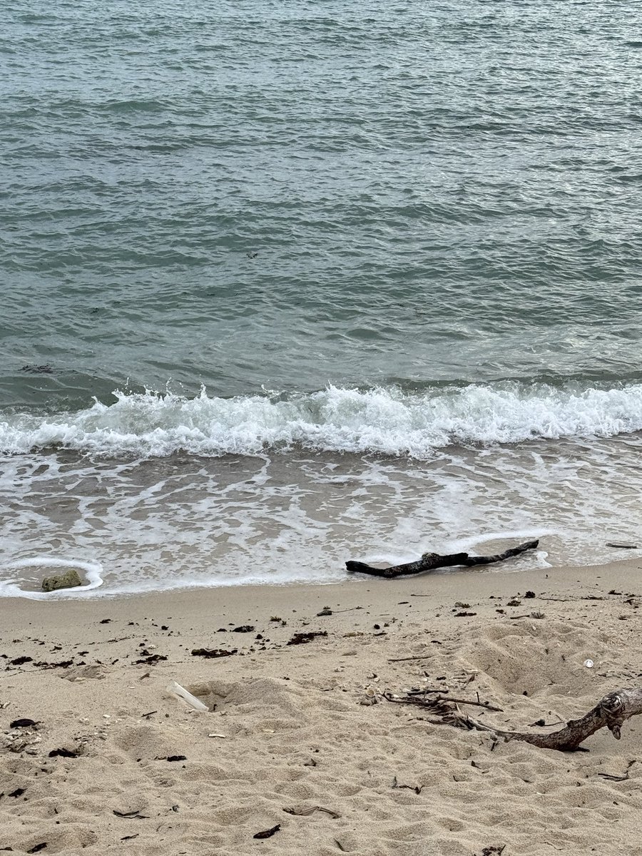 viewwarawi's tweet image. kidteung baan